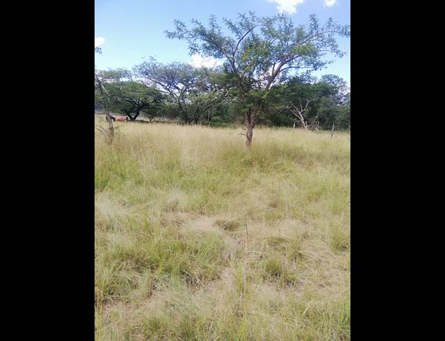 30,000M² VACANT LAND FOR SALE IN HILLDROP